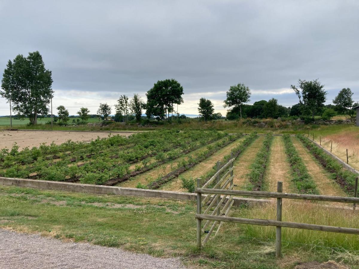 Fin Laegenhet Pa Bjaere Med Naera Till Natur Och Noeje Båstad Eksteriør bilde
