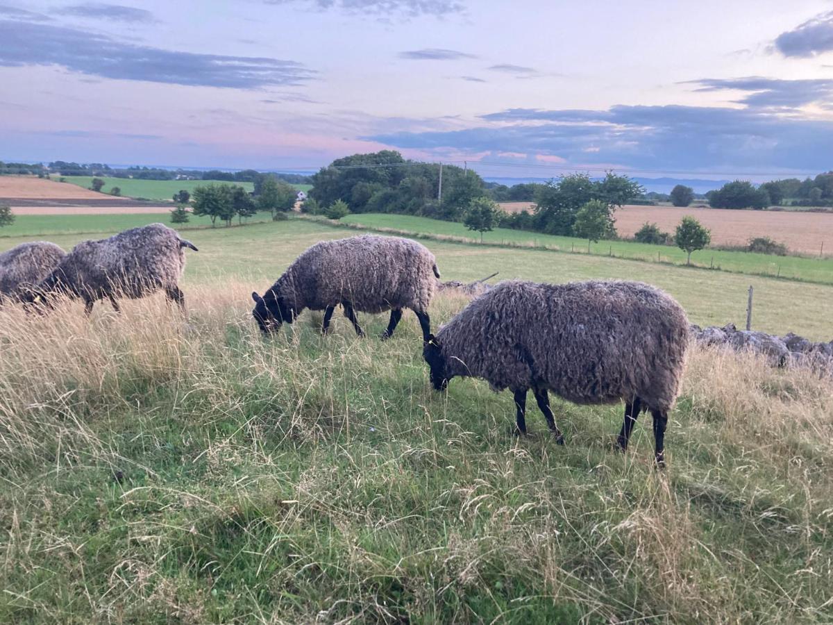 Fin Laegenhet Pa Bjaere Med Naera Till Natur Och Noeje Båstad Eksteriør bilde